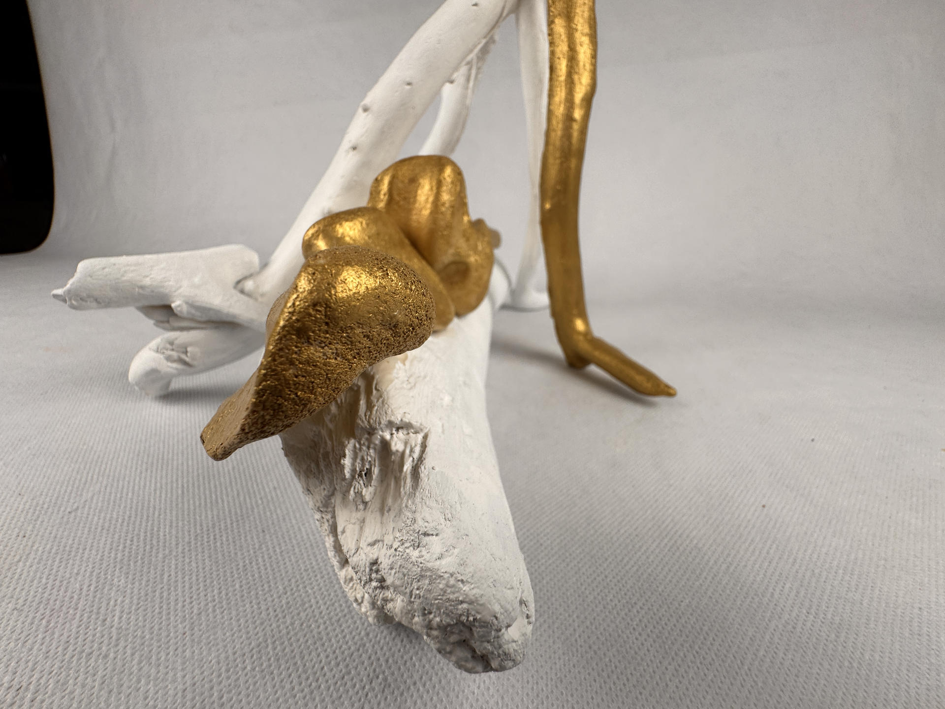 SC2025060 - Image 6