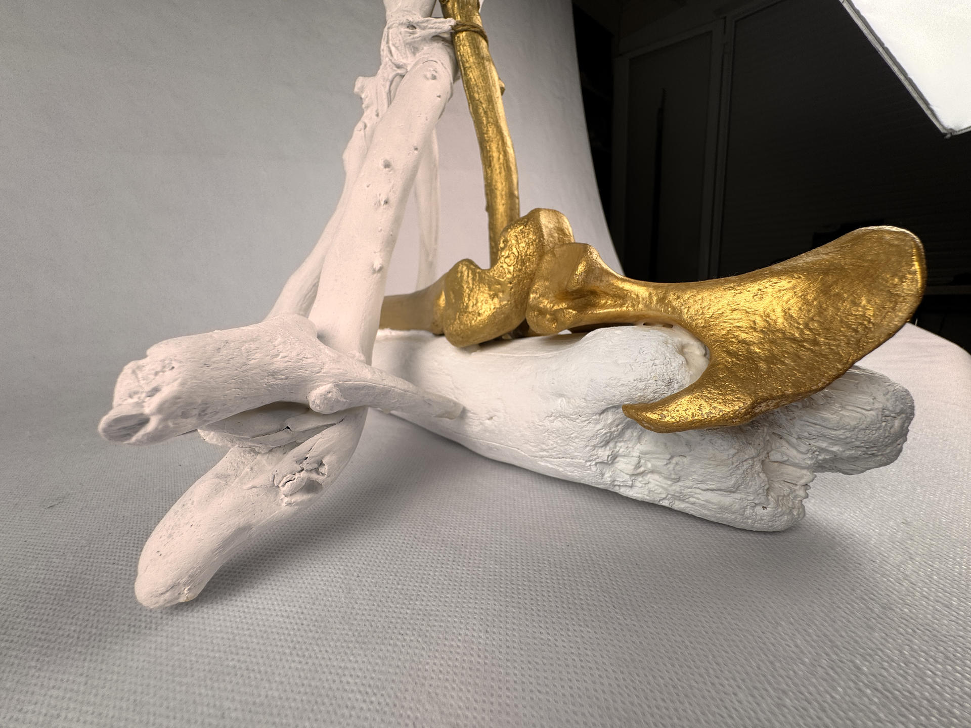 SC2025060 - Image 12