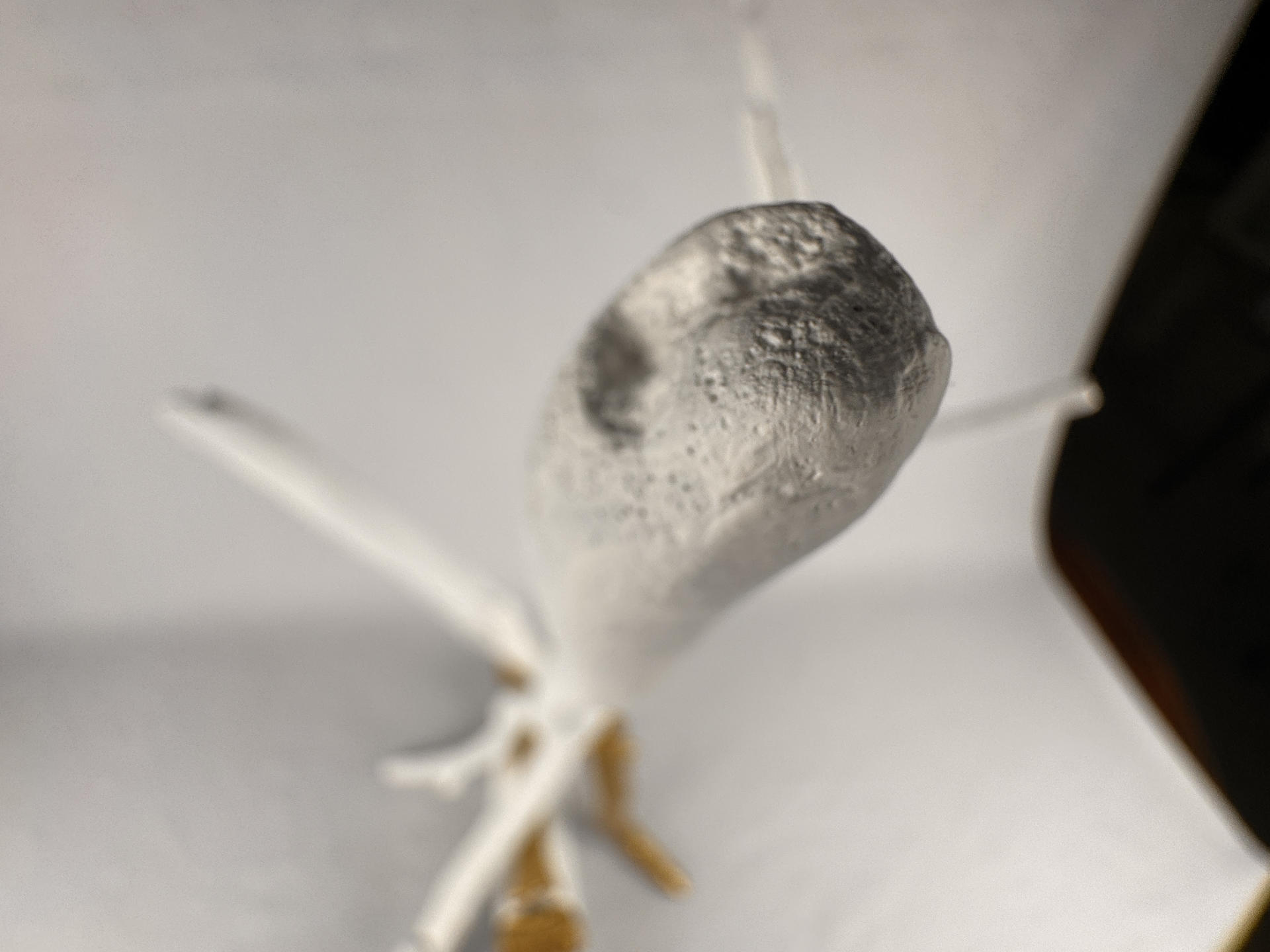 SC2025060 - Image 16