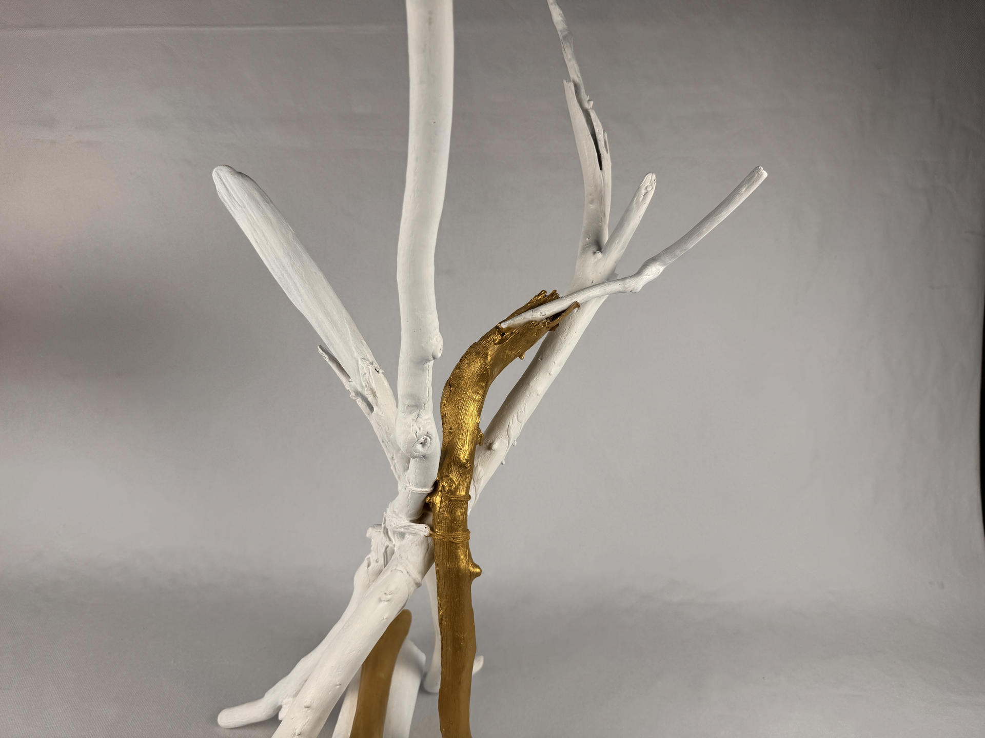 SC2025060 - Image 25
