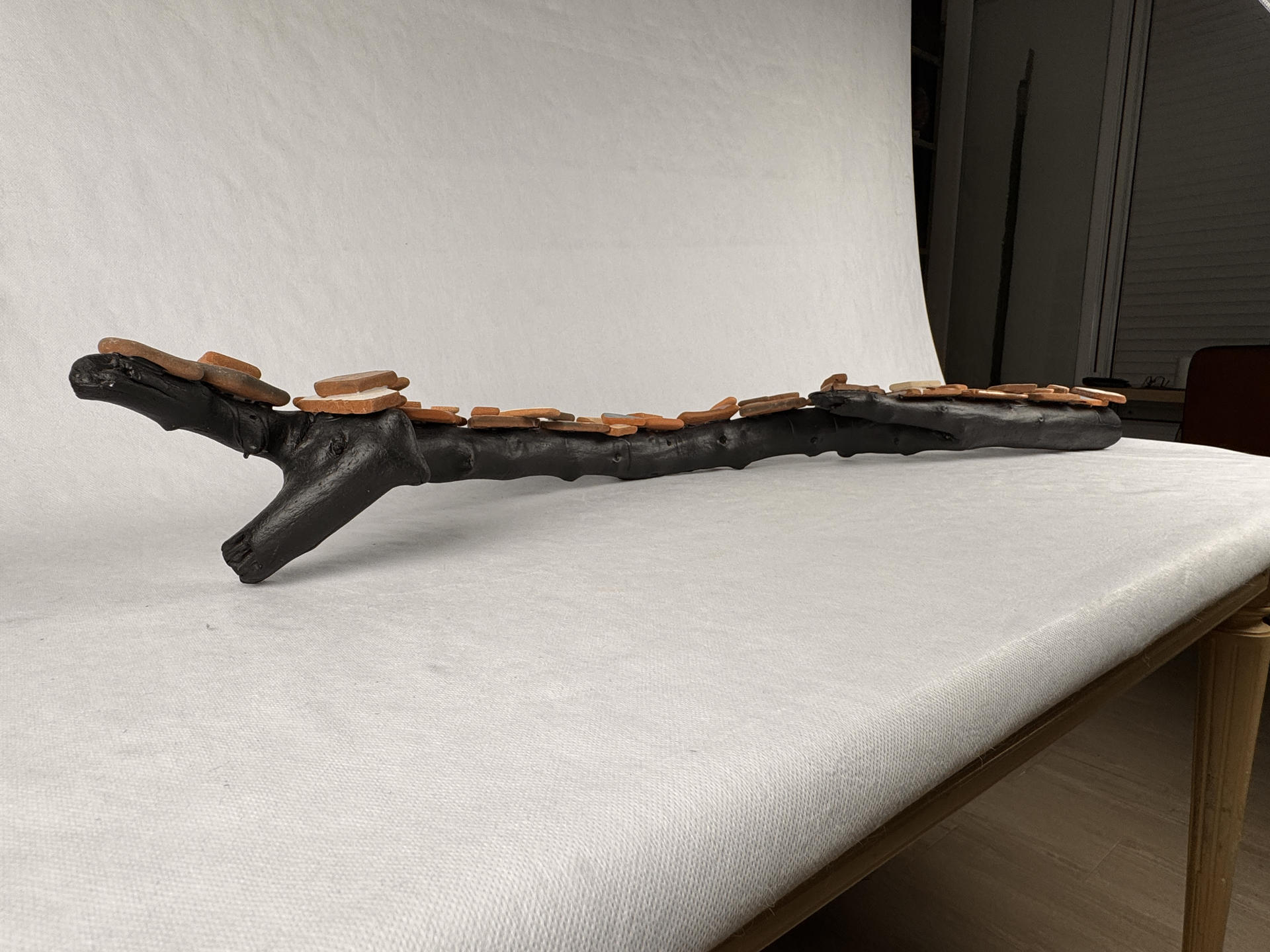 SC2025074 - Image 4
