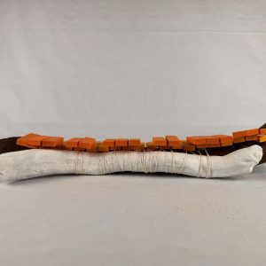 SC2025095